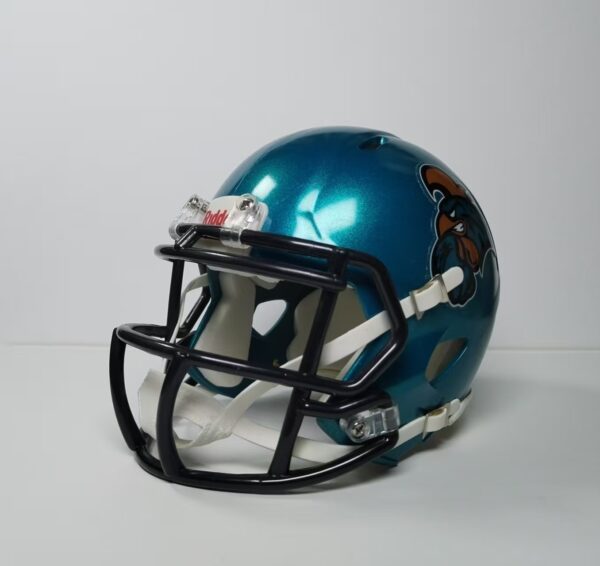 NFL PITTSBURGH STEELERS Riddell Limited Edition Pocket Helmet 2024 - 图片 2